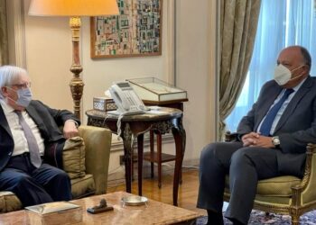 Choucri et Griffiths examinent les efforts pour un règlement politique au Yémen