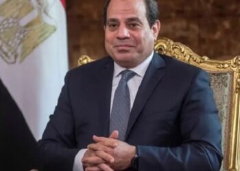 Al-Sissi examine la modernisation des systèmes d’irrigation intelligents