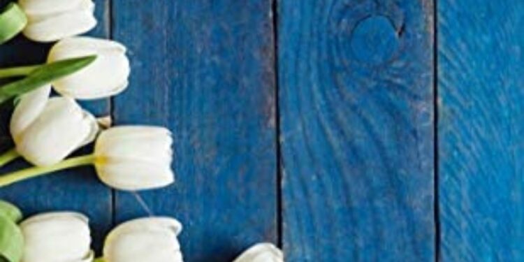 “Changer l’eau des fleurs” 1 - Le Progrès Egyptien