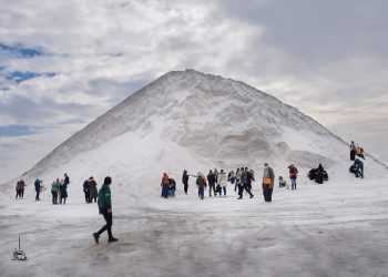 Les Aples de Port-Said, une vraie aventure salée !