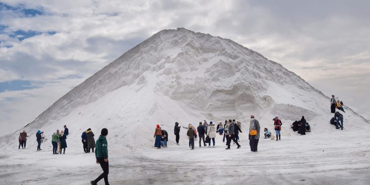 Les Aples de Port-Said, une vraie aventure salée ! 1 - Le Progrès Egyptien