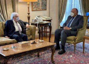 Choucri et Griffiths examinent les efforts pour un règlement politique au Yémen