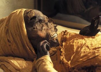 Seqenenrê Tâa à la tête de la parade