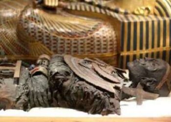 La galerie des momies royales au NMEC ouvre ses portes au public