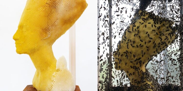 #Ancienneegypte 1 - Le Progrès Egyptien