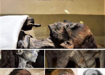 Le cosmétique à la “pharaonique”