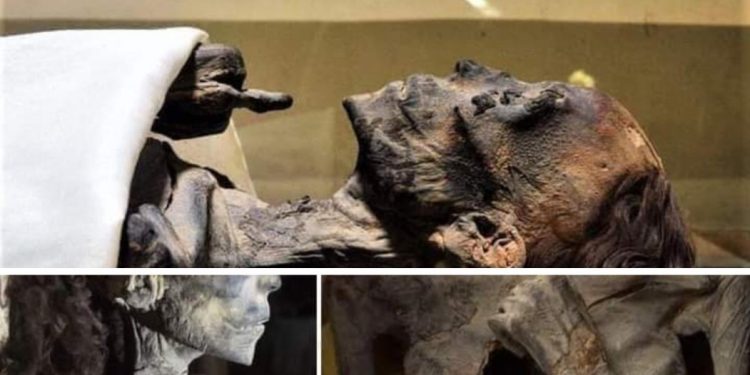 Le cosmétique à la “pharaonique” 1 - Le Progrès Egyptien