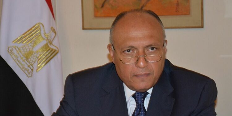 Choucri et son homologue saoudien examinent la situation en Palestine 1 - Le Progrès Egyptien