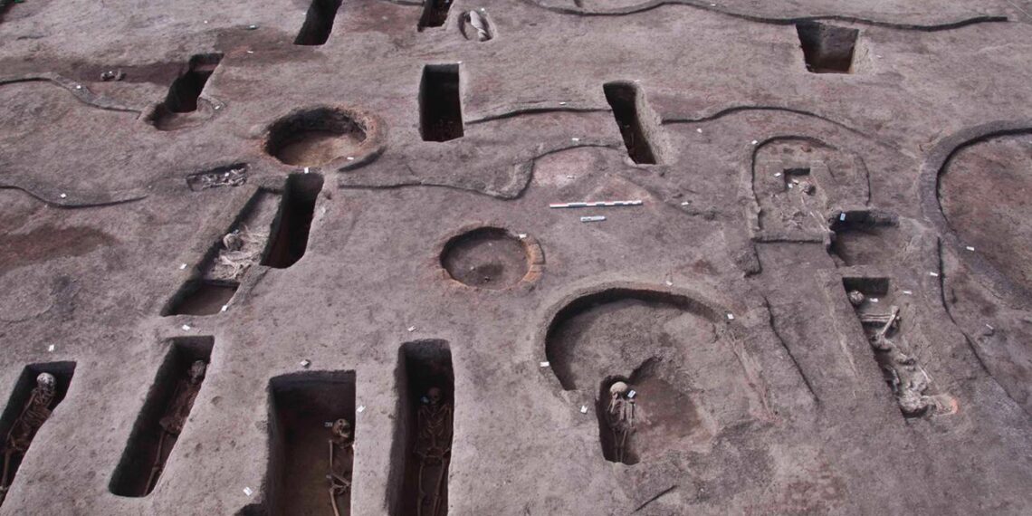 Découverte de 110 tombes à Kom El-Khelgan 1 - Le Progrès Egyptien