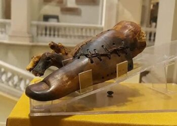 1ère prothèse et 2ème squelette humain en Egypte