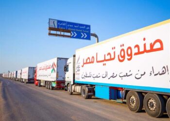 L’Egypte envoie  le plus grand convoi d’aides à Gaza