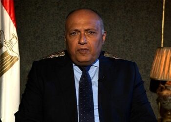 Appel téléphonique Choucri/ Shah Qureshi