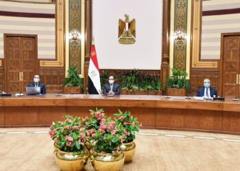 Al-Sissi : Tout assurer pour moderniser les villages