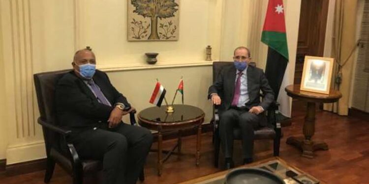 Choucri et Al Safadi pour une reprise urgente du processus de paix 1 - Le Progrès Egyptien