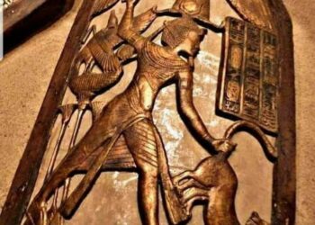 On ne badine pas avec le loup, on l’attrape !