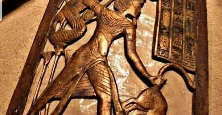 On ne badine pas avec le loup, on l’attrape ! 2 - Le Progrès Egyptien On ne badine pas avec le loup, on l’attrape ! 1 - Le Progrès Egyptien