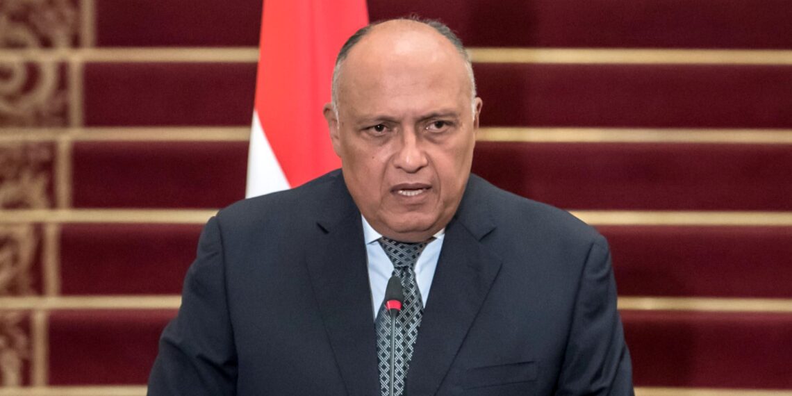Choucri s'entretient dimanche au Caire avec son homologue israélien 2 - Le Progrès Egyptien Choucri s'entretient dimanche au Caire avec son homologue israélien 1 - Le Progrès Egyptien