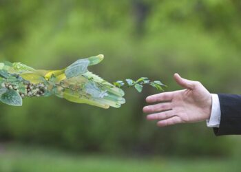 Les jeunes engagés en faveur de l’environnement