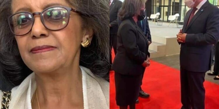 Le Président Al-Sissi rencontre la Présidente de l’Ethiopie 2 - Le Progrès Egyptien Le Président Al-Sissi rencontre la Présidente de l’Ethiopie 1 - Le Progrès Egyptien