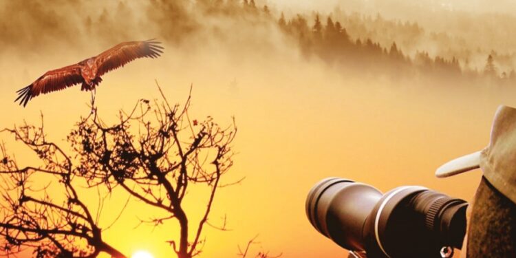 Préservation des oiseaux migrateurs et planeurs 1 - Le Progrès Egyptien