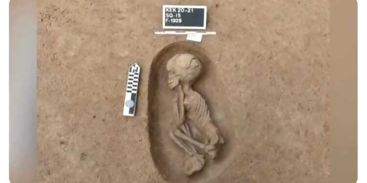 #Egypte 1 - Le Progrès Egyptien