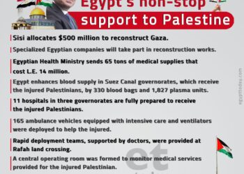Soutien continu de l’Egypte à la Palestine