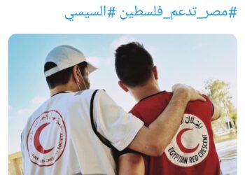 “L’Egypte soutient la Palestine”