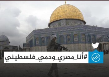 Je suis égyptien et mon sang est palestinien