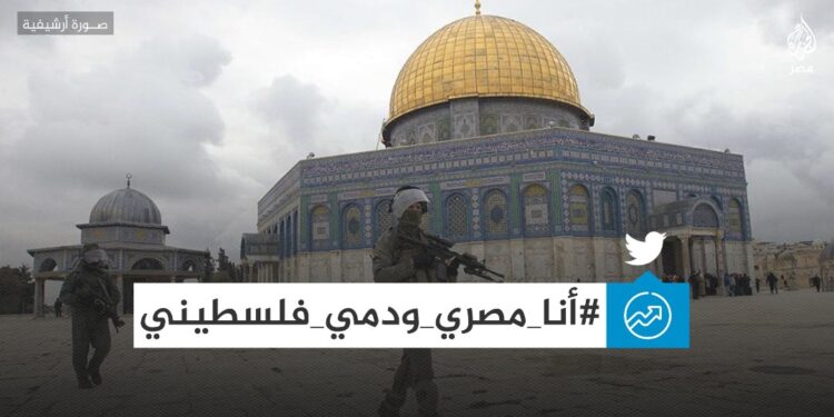 Je suis égyptien et mon sang est palestinien 1 - Le Progrès Egyptien