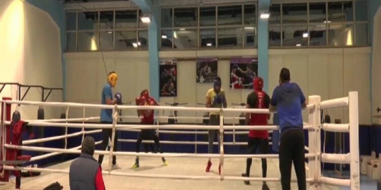 Jeux olympiques : Les boxeurs égyptiens en chantier 2 - Le Progrès Egyptien Jeux olympiques : Les boxeurs égyptiens en chantier 1 - Le Progrès Egyptien