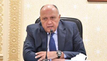 Sameh Choucri : La cause palestinienne au cœur des entretiens Al-Sissi-Macron