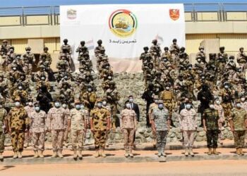 Fin des exercices égypto-émiratis Zayed 3