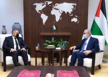 L’Egypte adresse un message de solidarité aux frères Palestiniens