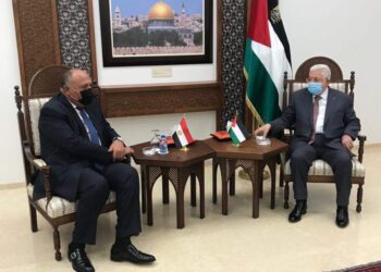 Choucri : Un message de pleine solidarité d’Al-Sissi à Abbas