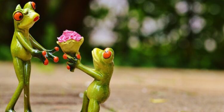 Des idées romantiques pour demander une femme en marriage 1 - Le Progrès Egyptien