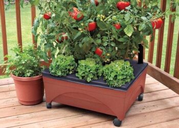 Un jardin  dans son balcon