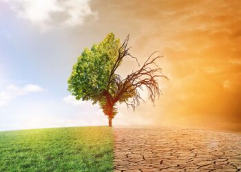 L’Egypte pour une adaptation aux changements climatiques