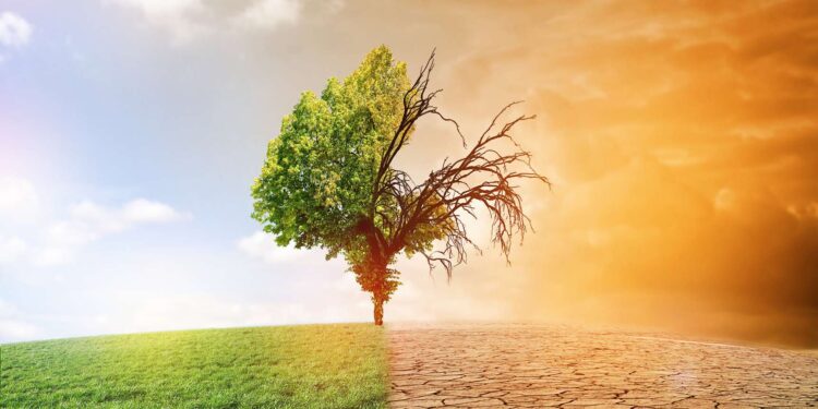 L’Egypte pour une adaptation aux changements climatiques 1 - Le Progrès Egyptien