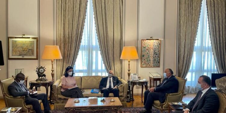 Sameh Choucri reçoit son homologue malien 1 - Le Progrès Egyptien