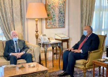 Choucri reçoit le membre du Comité central du mouvement Fath