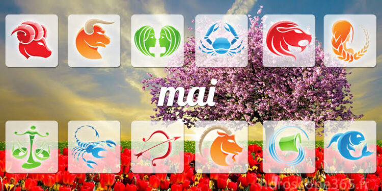 Suivez le guide, suivez le ciel ! 2 - Le Progrès Egyptien Suivez le guide, suivez le ciel ! 1 - Le Progrès Egyptien