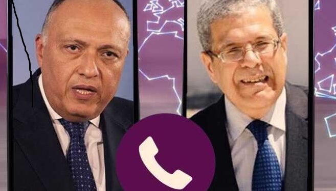 Entretien téléphonique Choucri-Jerandi 1 - Le Progrès Egyptien