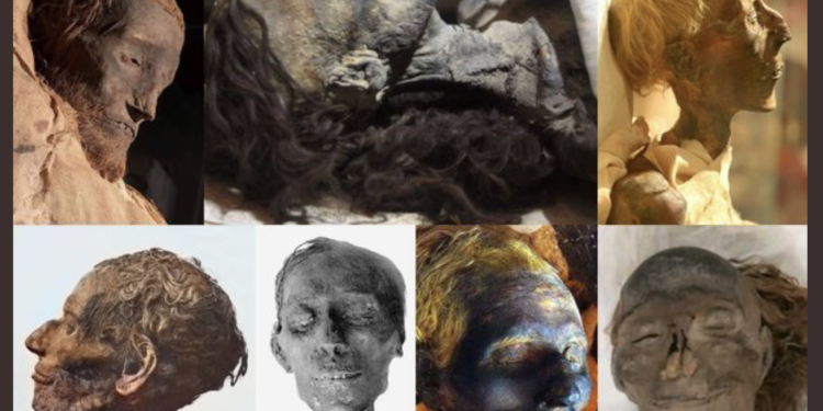 Les Pharaons 2 - Le Progrès Egyptien Les Pharaons 1 - Le Progrès Egyptien