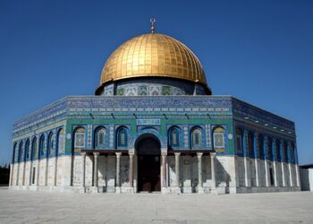 L’Observatoire arabe des  droits de l’homme condamne