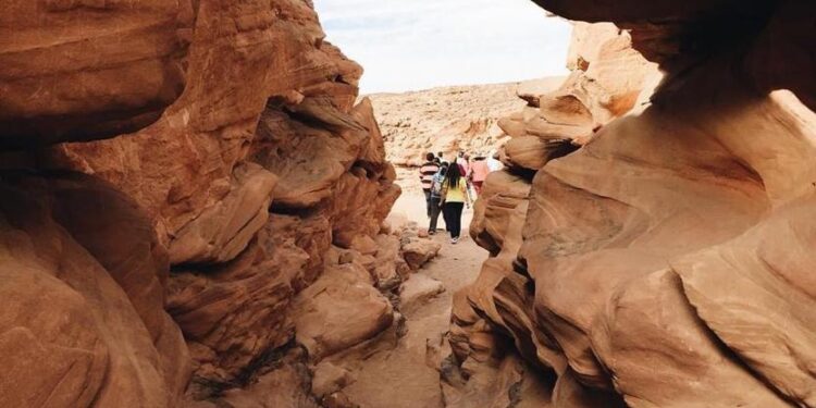 Le Sinaï resplendit ! 1 - Le Progrès Egyptien