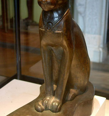 Le Mau Egyptien, une race très ancienne 1 - Le Progrès Egyptien