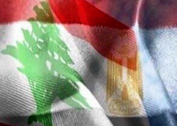 Choucri examine avec Hariri les efforts en faveur de la formation du gouvernement