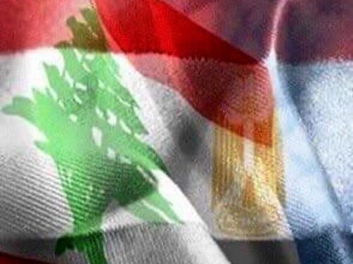 Choucri examine avec Hariri les efforts en faveur de la formation du gouvernement 1 - Le Progrès Egyptien