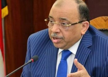 L’Egypte cherche à créer des mécanismes pour réaliser le partenariat avec l’Afrique