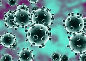 Coronavirus : “On est loin de l’immunité collective”